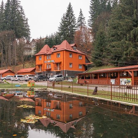 Vila Bradul Kızıl Göl Dış mekan fotoğraf